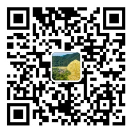365速发国际